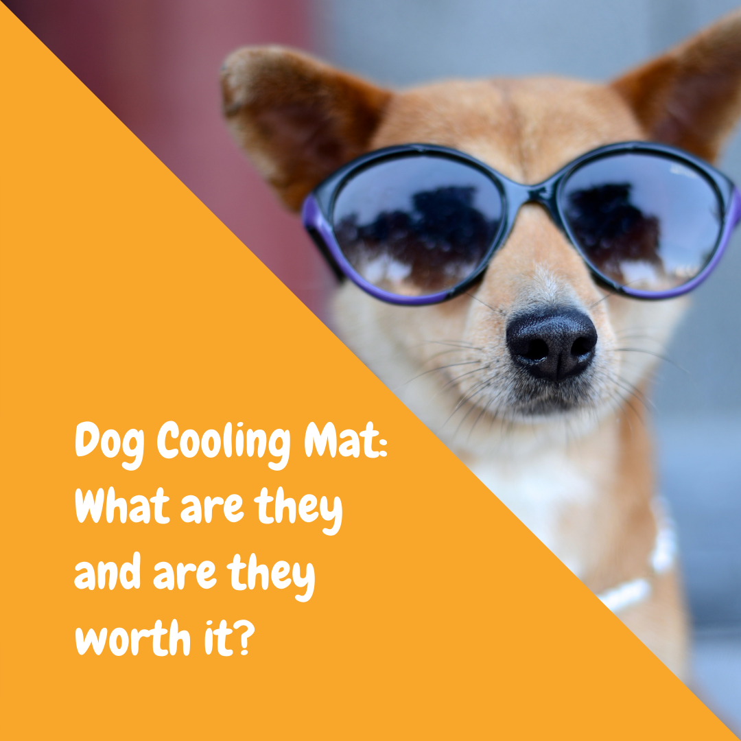 My dog ate sales cooling mat gel