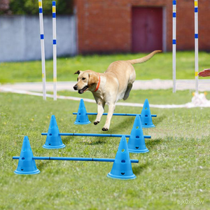 dog training equipment australia