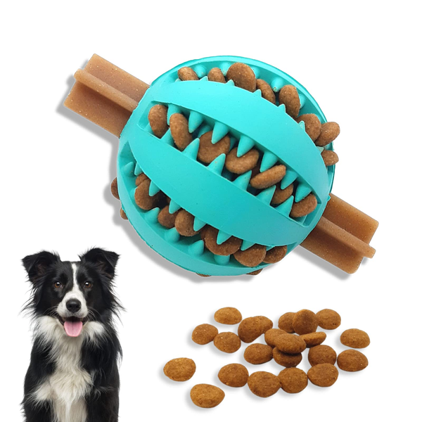 What are the top 10 Dog Products that a Dog Owner Should Have?