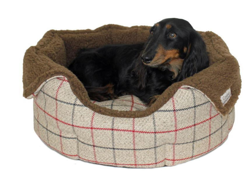 Pet Beds Suitable for All Dog Breeds