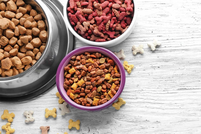 The Dogs Stuff: How To Choose the Best Dog Food Australia
