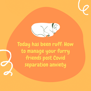 Today has been ruff: How to manage your furry friends post Covid separation anxiety