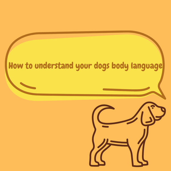 What are you saying?: How to understand your dog's body language