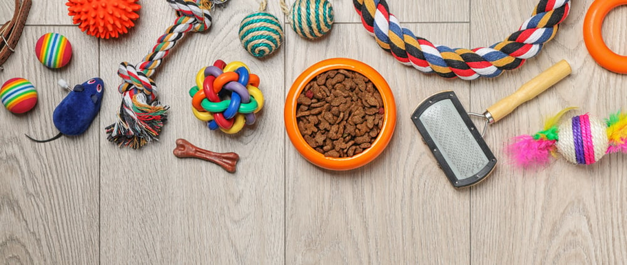 Shop Online for All the Pet Accessories You Desire