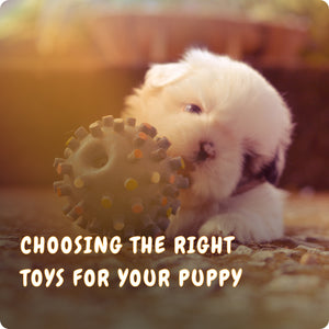 Discovering the Joy of Dog Toys
