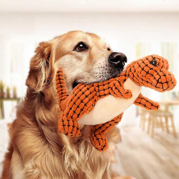 Chew Toys