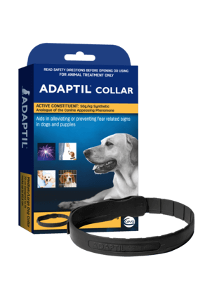 Adaptil Collar, The Dogs Stuff