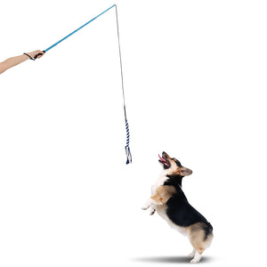 Dog Flirt Pole – The Dogs Stuff